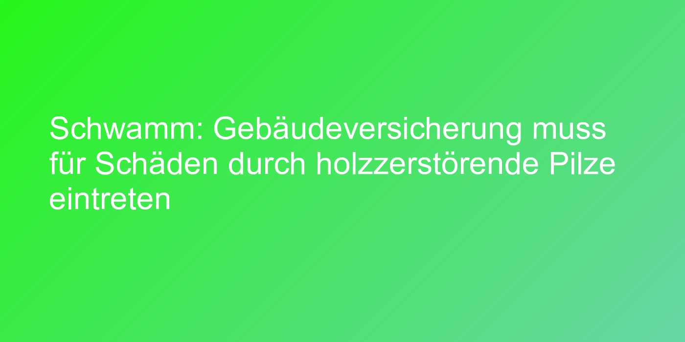 Schwamm: Gebäudeversicherung muss für Schäden durch holzzerstörende Pilze eintreten