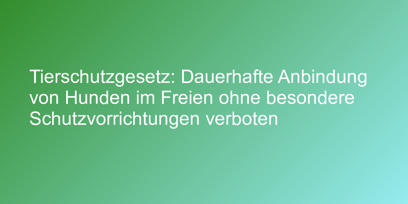 Pflichten für Hundehalter