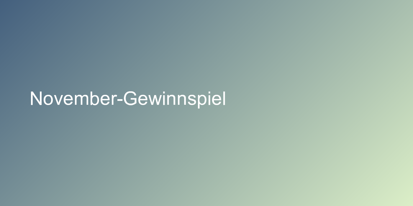 WISO Mein Geld professional 2013