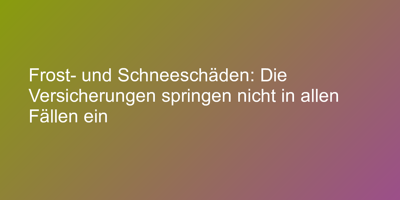 Haftung bei Frost- und Schneeschäden