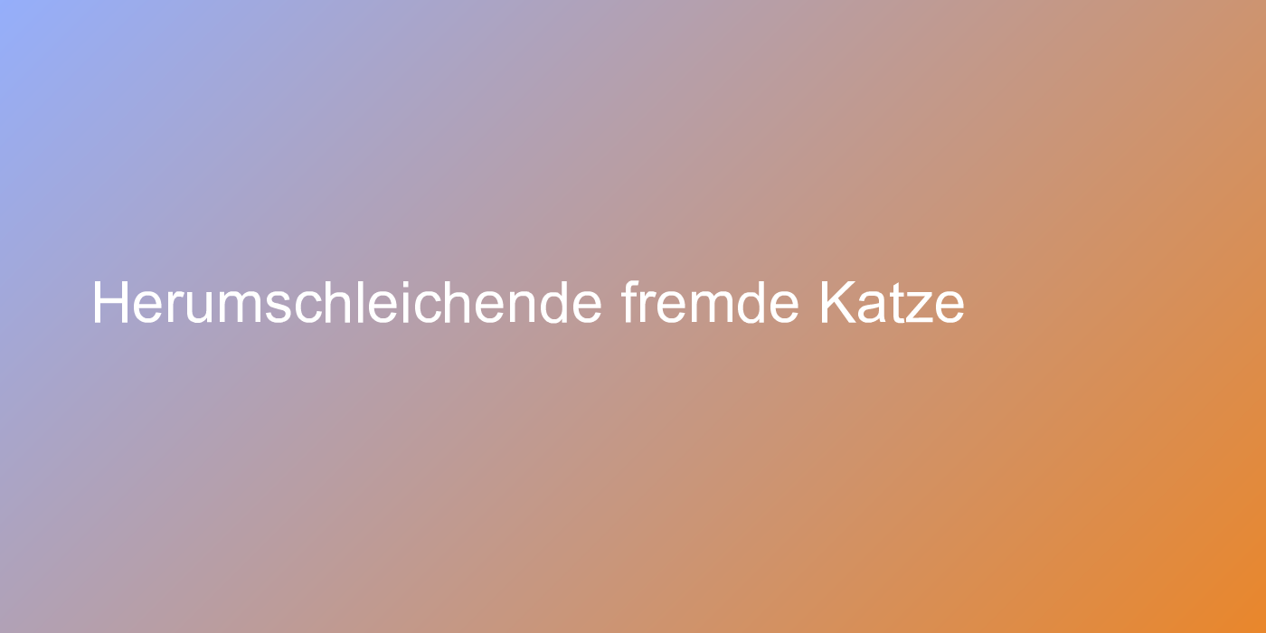 Herumschleichende fremde Katze