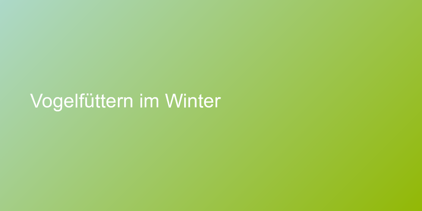 Vogelfüttern im Winter