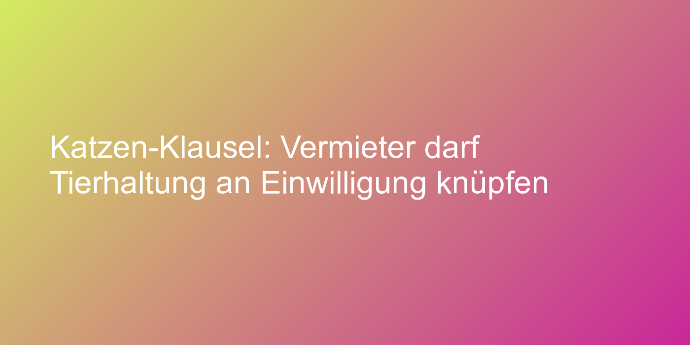 Katzen in der Mietwohnung