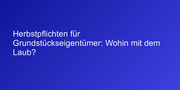 Herbstpflichten für Grundstückseigentümer: Wohin mit dem Laub?