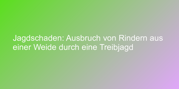 Urteil zu Schadenersatz bei Treibjagd