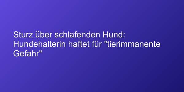 Haftung bei Sturz über Hund