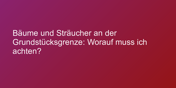 Bäume und Sträucher an der Grundstücksgrenze: Worauf muss ich achten?