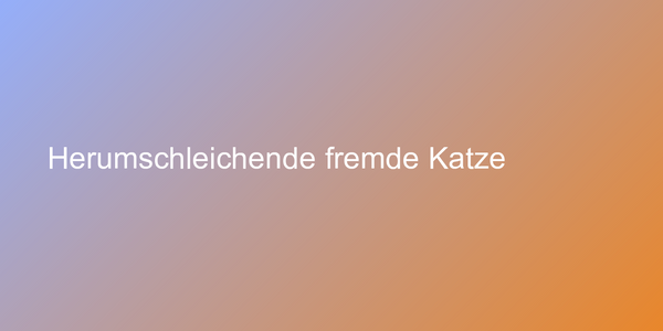 Herumschleichende fremde Katze