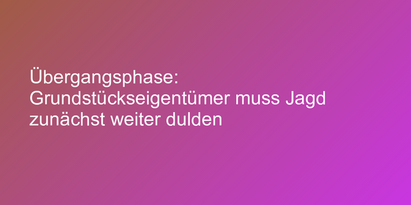 Urteil zu Inkrafttreten einer gesetzlichen Neuregelung