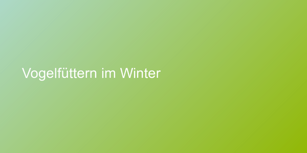 Vogelfüttern im Winter