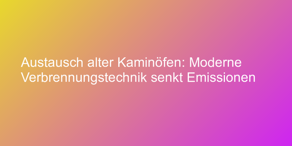 Austausch alter Kaminöfen