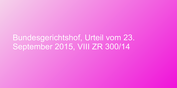 Bundesgerichtshof, Urteil vom 23. September 2015, VIII ZR 300/14