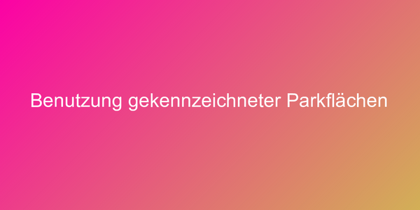 Benutzung gekennzeichneter Parkflächen
