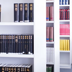 Die juristische Literatur ist sehr umfangreich.